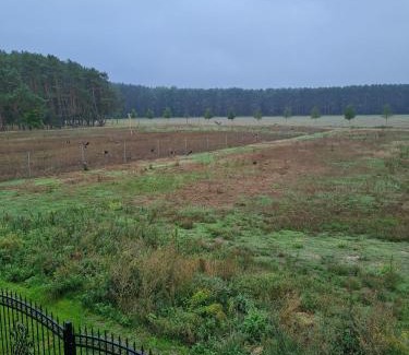 Mullrose Apartment | SECRA Exclusive Ferienwohnung Schlaubetal Müllrose 1 - Seenähe