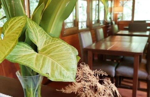 Puerto Iguazu Hotel | Selva de Laurel