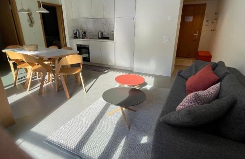 Flims Apartment | Selva Mountain Apartment