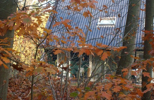 Rheezerveen House | Semi-detached house with a dishwasher, at 9 km van Slagharen