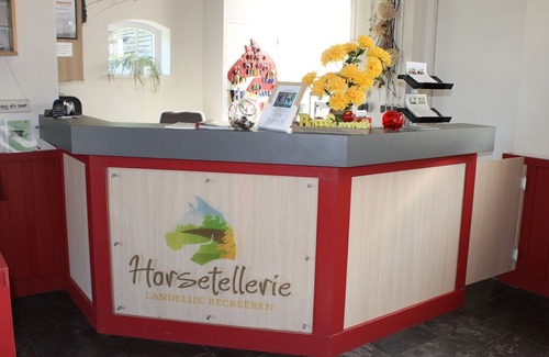 Rheezerveen House | Semi-detached house with a dishwasher, at 9 km van Slagharen
