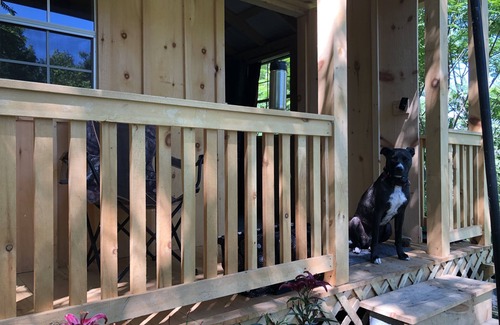 Ogdensburg Cabin | Serene Cabin "Camping" (&services)