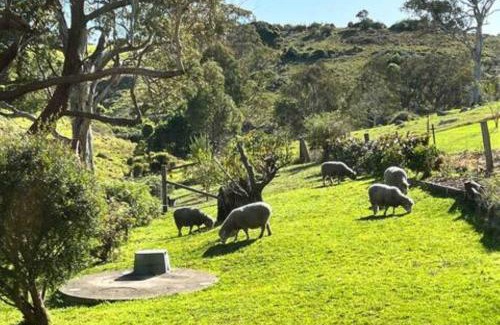 Central Tilba House | Serene Farm Stay, Modern 3BD, Central Tilba near Mystery Bay! Pets OK