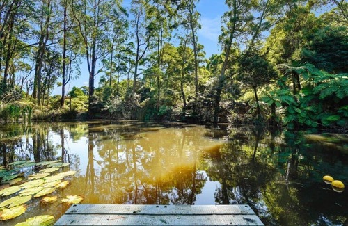 Sassafras House | Serene Getaway in Nature - Glamping Experience!