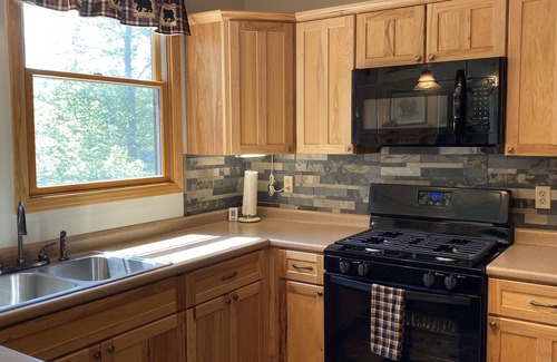 Davis House | Serene Pet Friendly Cabin w/Resort Perks in Heart of WV Hike/Fish/Bike/Ski