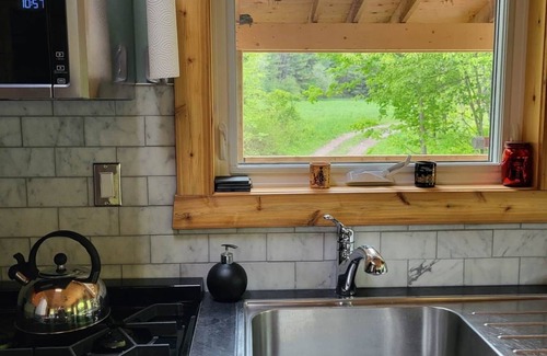 Central Huron House | Serene Westfield Tiny Cabin