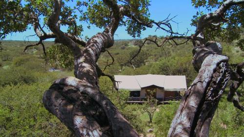 Serengeti National Park Other | Serengeti Migration Camp