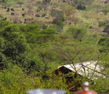 Serengeti National Park Other | Serengeti Migration Camp