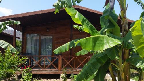 Cirali House | Serenity Bungalows
