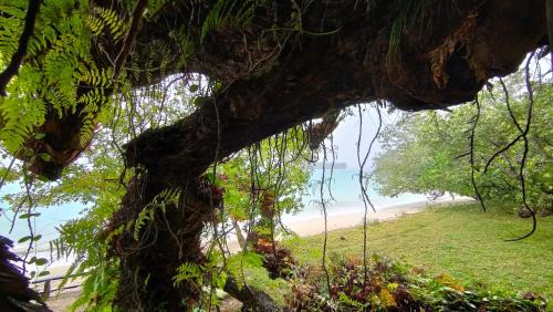 Port Olry Bed & Breakfast | Serenity Family Treehouse
