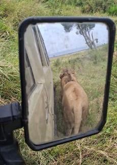 Maasai Mara Apartment | Serian safaris and travel tours
