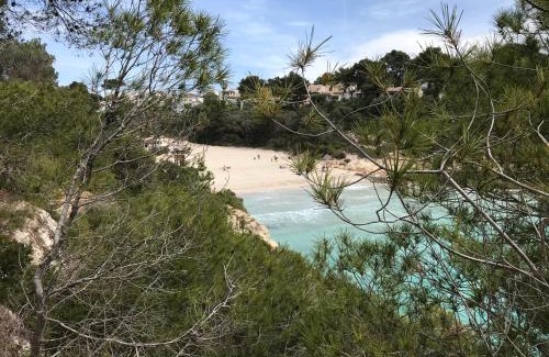 Cala Mandia Apartment | Ses Gavines-Cala Anguila Apartments