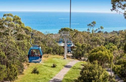 Arthurs Seat House | Set amongst the treetops of Arthurs Seat