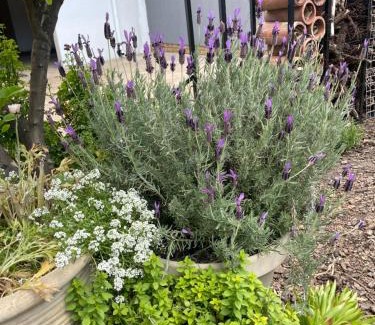 Secunda House | Seven