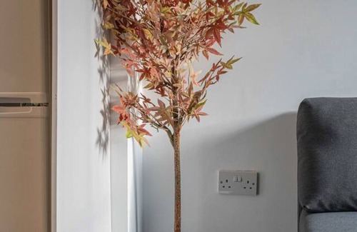 RopeWalks Apartment | Sevenstay Bold St Apt 3