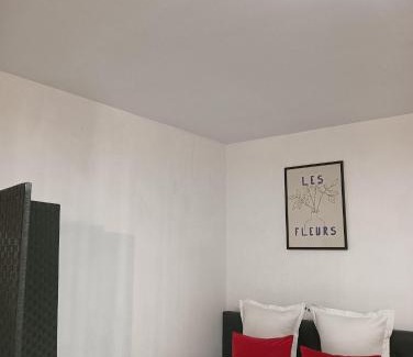Brasov City Centre Apartment | Sfatului Home