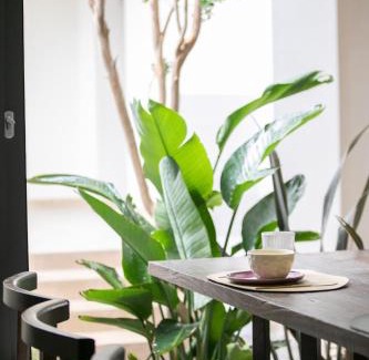 Gucheng House | Shan Di B&B