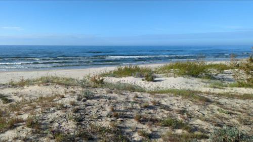 Trzebiatow Apartment | SHELLTER Apartament Green Dune – Rogowo