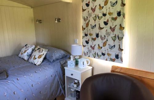Oswestry Other | Shepherds Hut at The Retreat