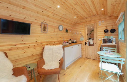 Maidstone Cabin | Shepherds Hut With Hot Tub. Pet-friendly. Own Private Garden Area