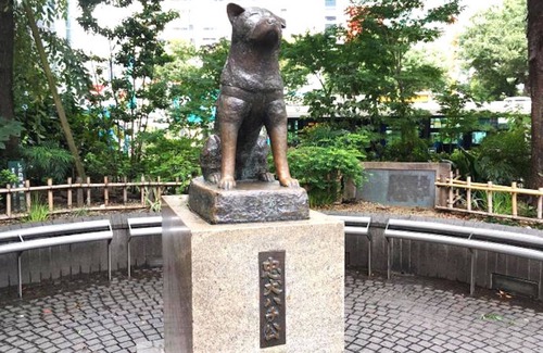 Higashi Apartment | Shibuya Station Charming Place 8min walk 3ppl A202 - A202/Shibuya-ku Tokyo