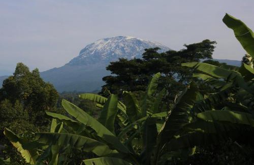 Kilimanjaro Region House | Shimbwe Meadows Home