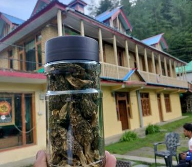 Banjar Apartment | Shiva valley river side home stay H