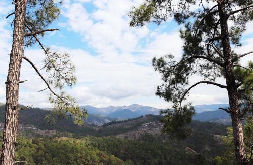 Almora Hotel | Shivalik River Retreat
