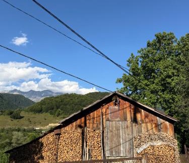 Racha-Lechkhumi and Lower Svaneti Apartment | Shoda Valley შოდა ველი