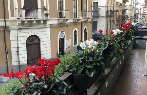 Picanello-Ognina-Barriera-Canalicchio Apartment | Sicily4Suite Catania - Charme in Sicily Etna