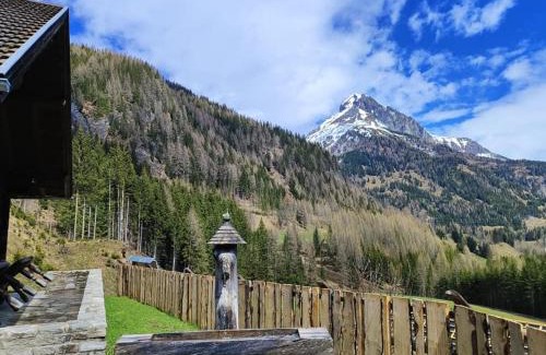 Zederhaus House | Siegel Almhütte