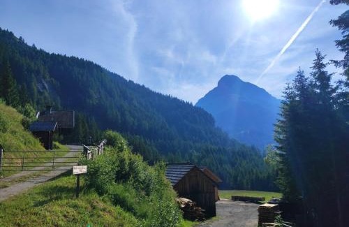 Zederhaus House | Siegel Almhütte
