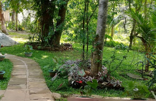 Sigiriya House | Sigiri Neo Home stay