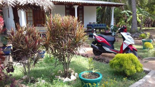 Sigiriya Bed & Breakfast | Sigiri Shen Residence