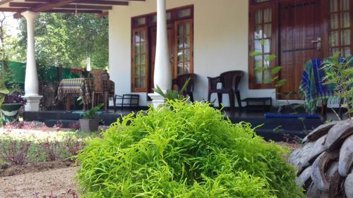 Sigiriya Bed & Breakfast | Sigiri Shen Residence