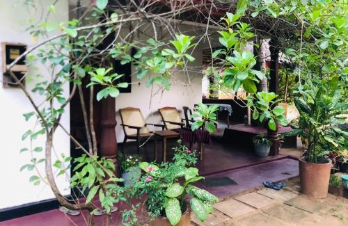 Sigiriya House | Sigiriya Mirror wall Guest house