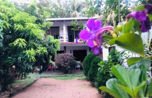 Sigiriya House | Sigiriya Mirror wall Guest house