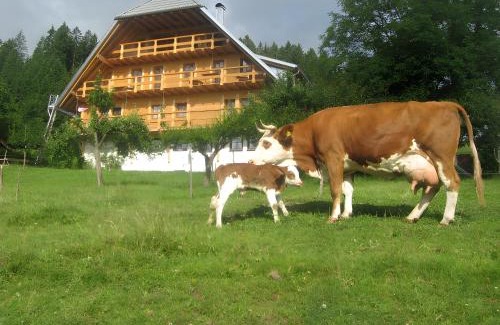 Schonach im Schwarzwald House | Sigmundenhof Schonach