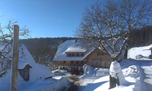 Schonach im Schwarzwald House | Sigmundenhof Schonach