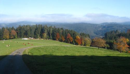 Schonach im Schwarzwald House | Sigmundenhof Schonach