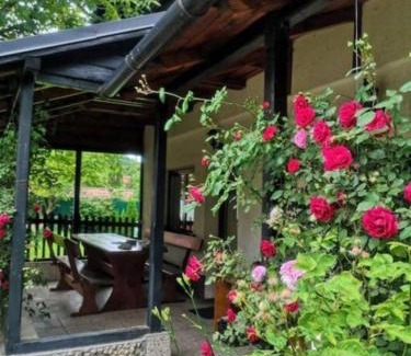 Bran House | Silva Cabin - In the heart of Bran, next to the Castle w/free parking