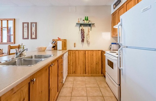 Silver Star Mountain Apartment | Silver Queen Views