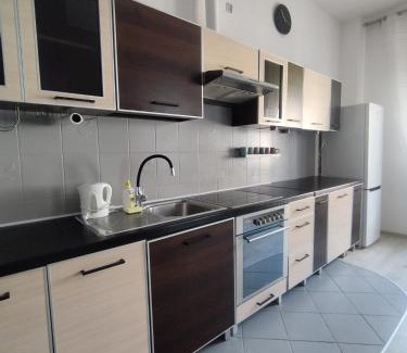 Legnica Apartment | Silver Stone by Grafit
