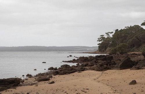 Tenby Point House | Silverstone Escape - Private Beachfront Retreat & Pet friendly