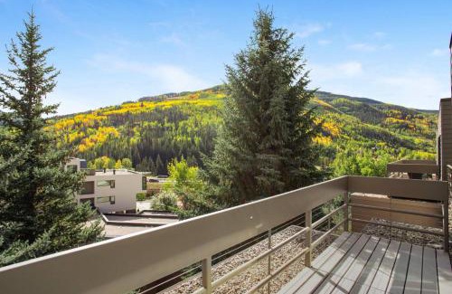 Vail House | Simba Run 2507