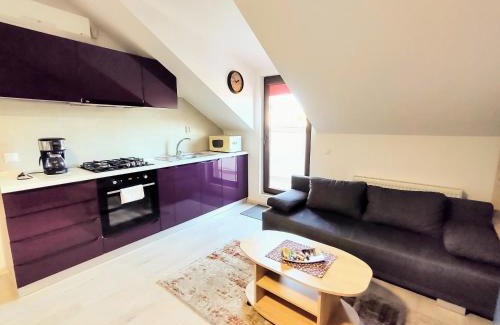 Iasi Apartment | Simona Apartament Palas Mall