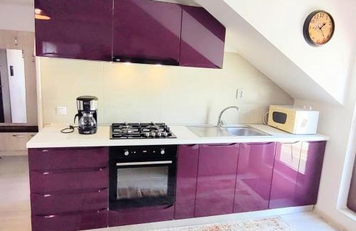 Iasi Apartment | Simona Apartament Palas Mall