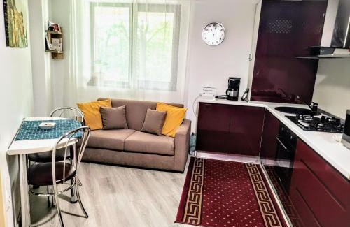 Iasi Apartment | Simona Apartament Palas Mall 1
