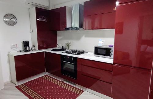 Iasi Apartment | Simona Apartament Palas Mall 1