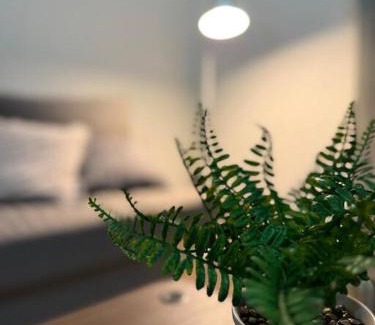 Mango Hill Apartment | Simple & Sweet Mango Hill Home - Big Patio
